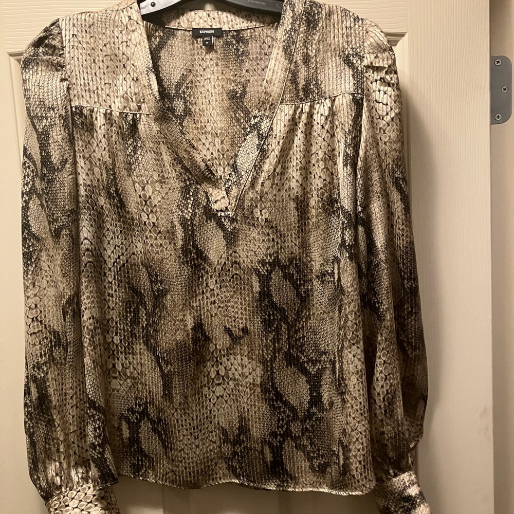 Express Brown Snake Print Blouse